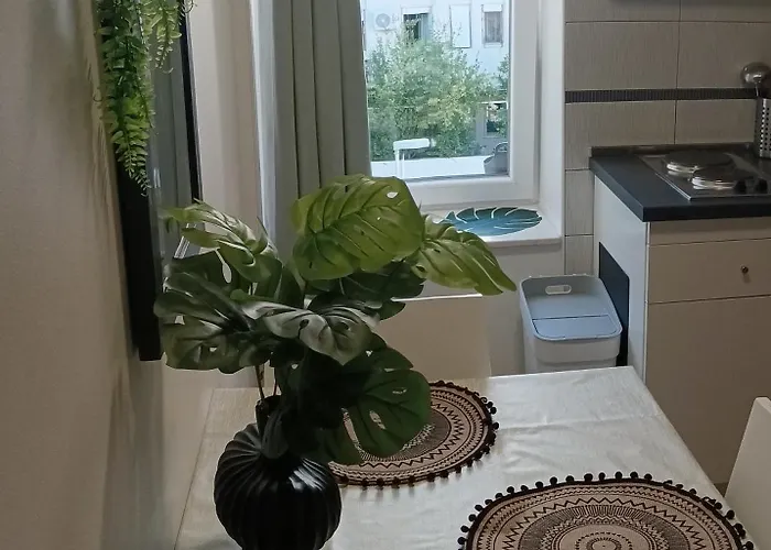 Funky Place, Near Center And Apartman *